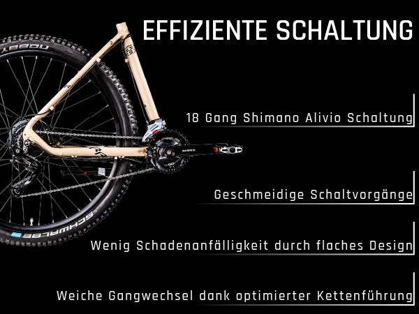 Remington XR01 E Bike